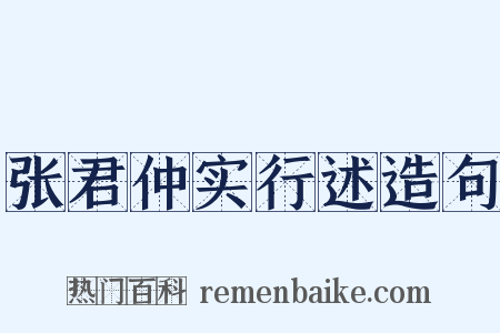 张君仲实行述造句是什么意思的图片